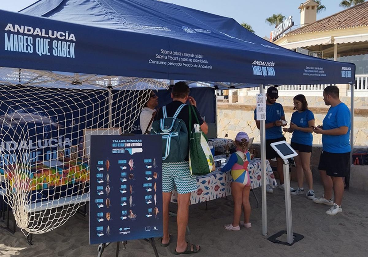 La campaña 'Andalucía, Mares que Saben' llega a La Cala del Moral