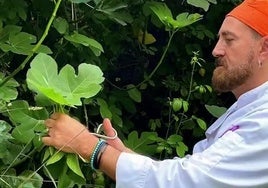 El chef de la castaña saca partido también a las hojas y a las flores en la provincia de Málaga