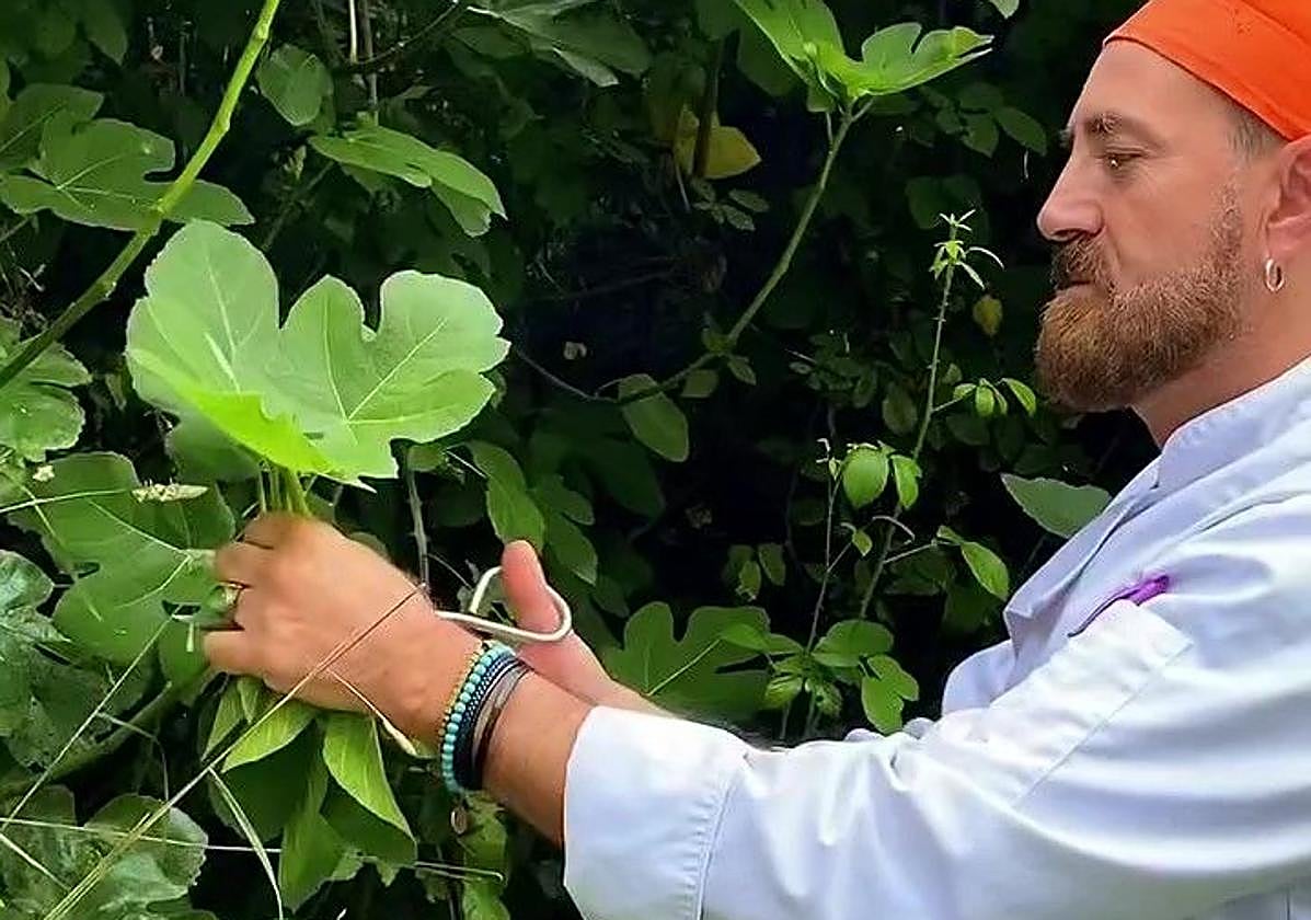 El chef de la castaña saca partido también a las hojas y a las flores en la provincia de Málaga