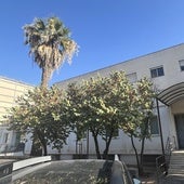 El centro de salud está cerrado desde el 2010