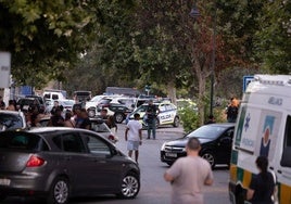 La autopsia apunta a una caída como causa de la muerte del hombre hallado en una arqueta de Mijas