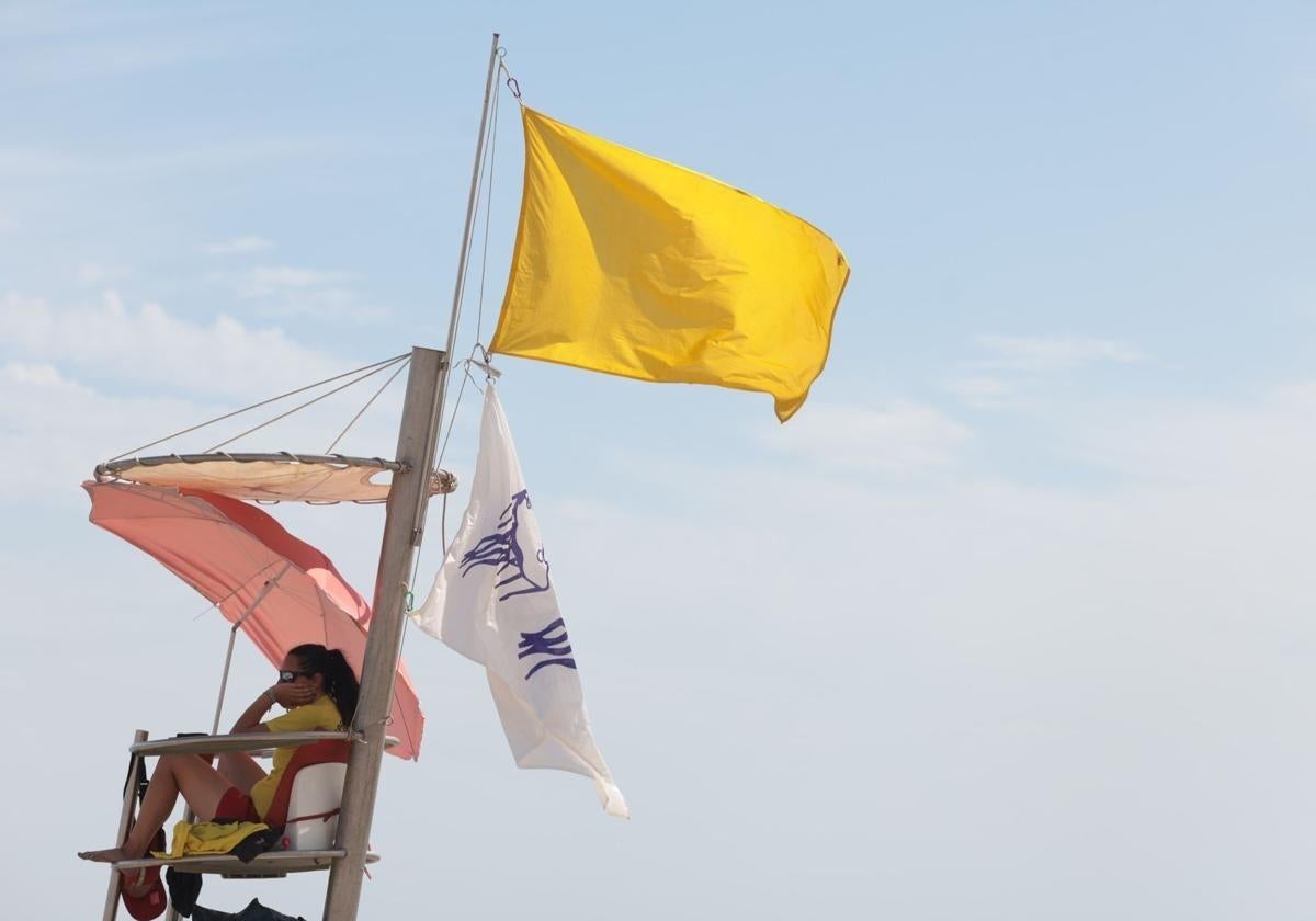 La bandera de aviso por medusas vuelve a izarse en Málaga.