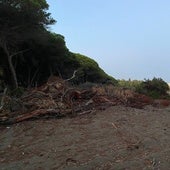 Inicio de las obras del tramo 14 de Senda Litoral en Dunas de Matas Verdes, paralizadas en la actualidad.