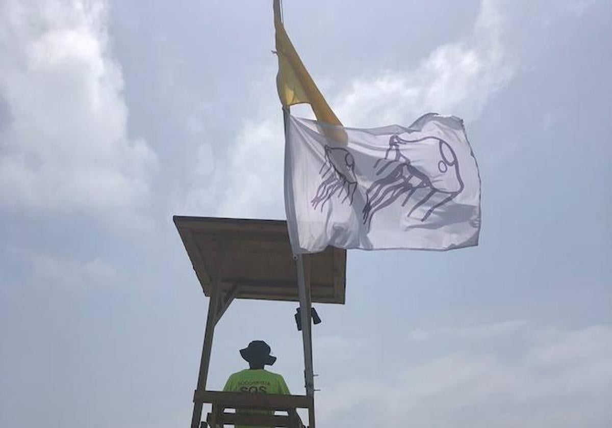 Bandera amarilla por medusas este viernes en dos playas de Málaga capital