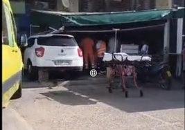 Un coche se empotra contra la terraza de un bar en Rincón de la Victoria: hay dos heridos graves en el hospital