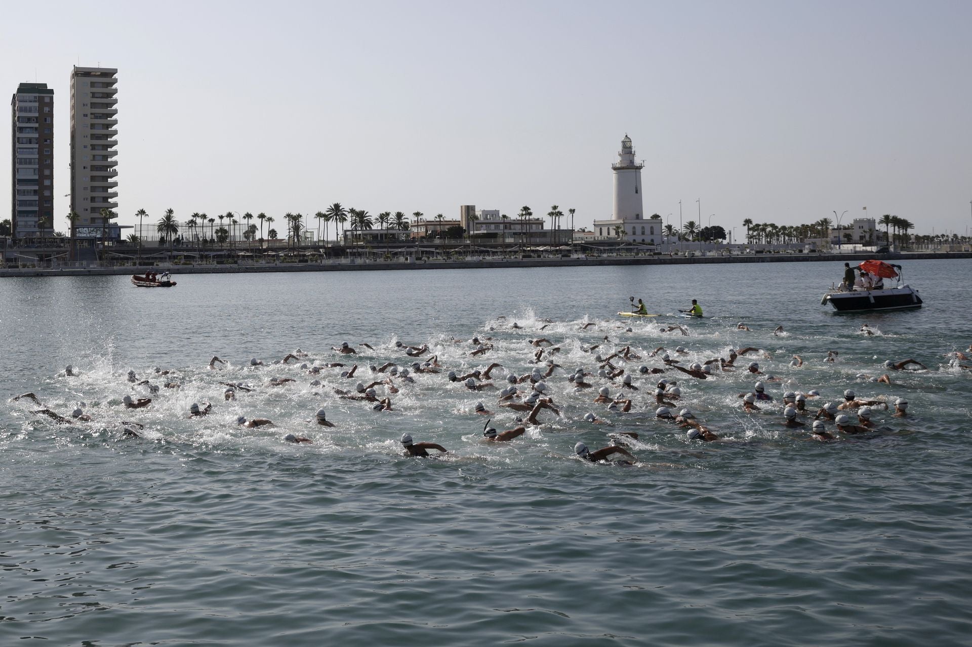 Travesía a nado del puerto, edición 65: más que un deporte, un estilo de vida