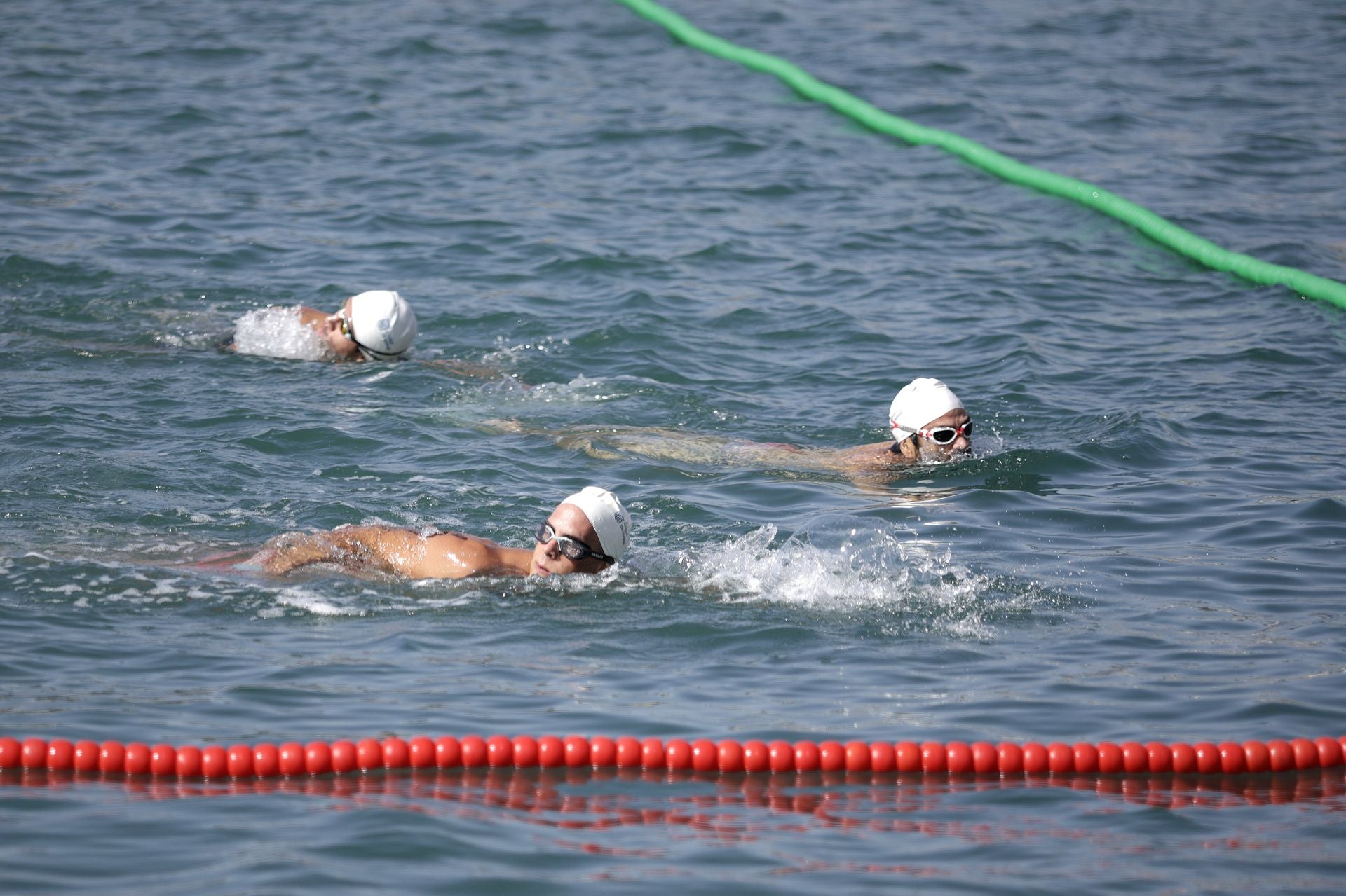 Travesía a nado del puerto, edición 65: más que un deporte, un estilo de vida