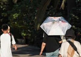 Un turista se resguarda bajo una sombrilla mientras pasea por el Parque de Málaga.