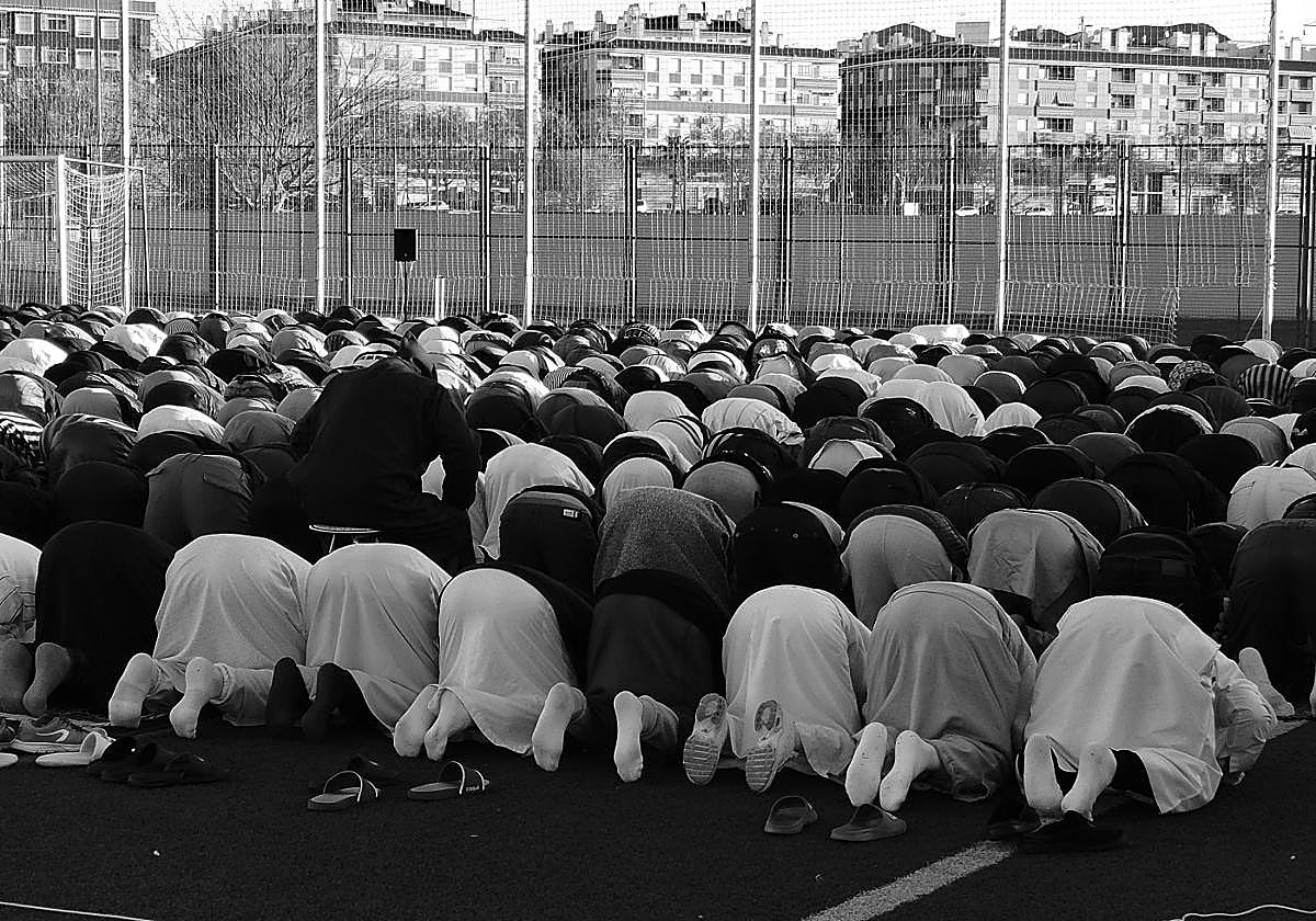 Jumilla como lección y paradoja