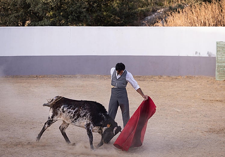 Fortes, al natural, ante la buena tercera vaca.