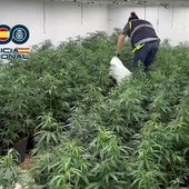 Los agentes han requisado un arma de fuego y tres detonadoras, 11 vehículos de alta gama, seis relojes de lujo y efectos relacionados con la actividad delictiva.
