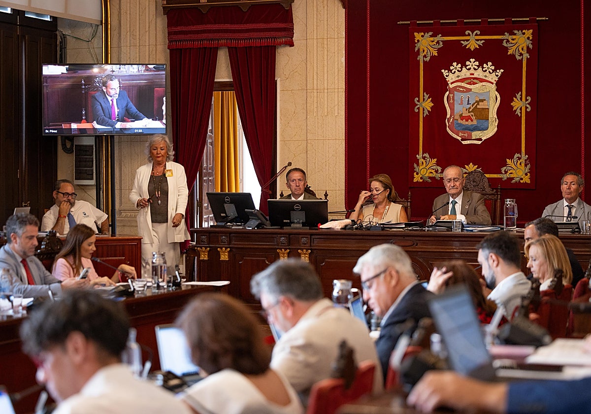 Imagen del pasado pleno, en el que se aprobaron estos acuerdos.