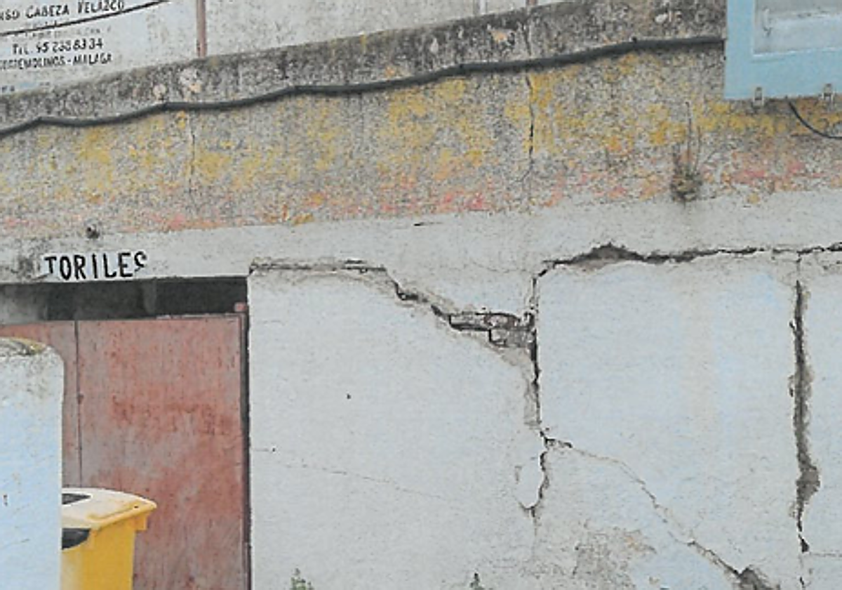 Situación que presenta actualmente el interior de la plaza de toros.