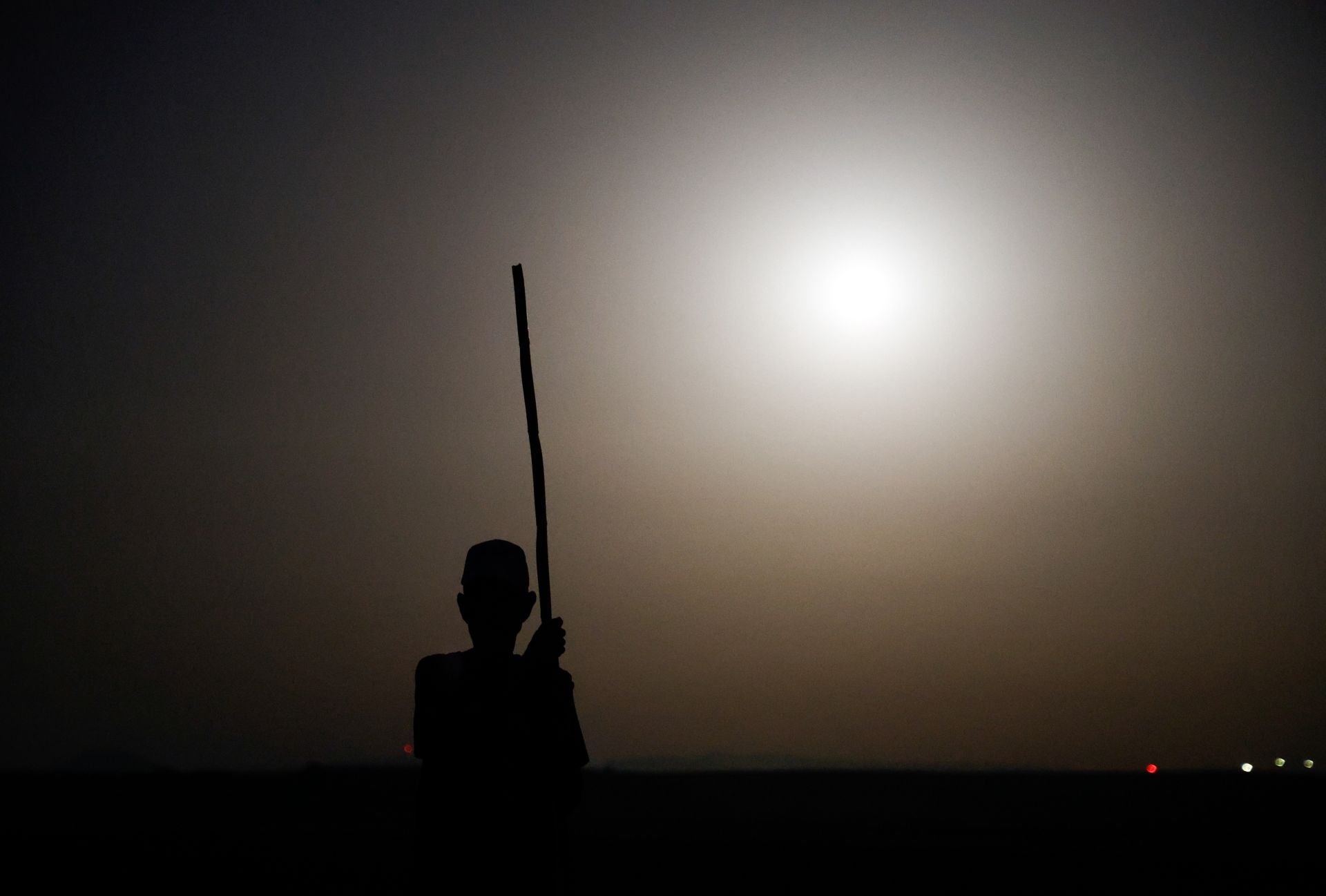 Vuelve el anillamiento de flamencos a Fuente de Piedra tras años de sequía