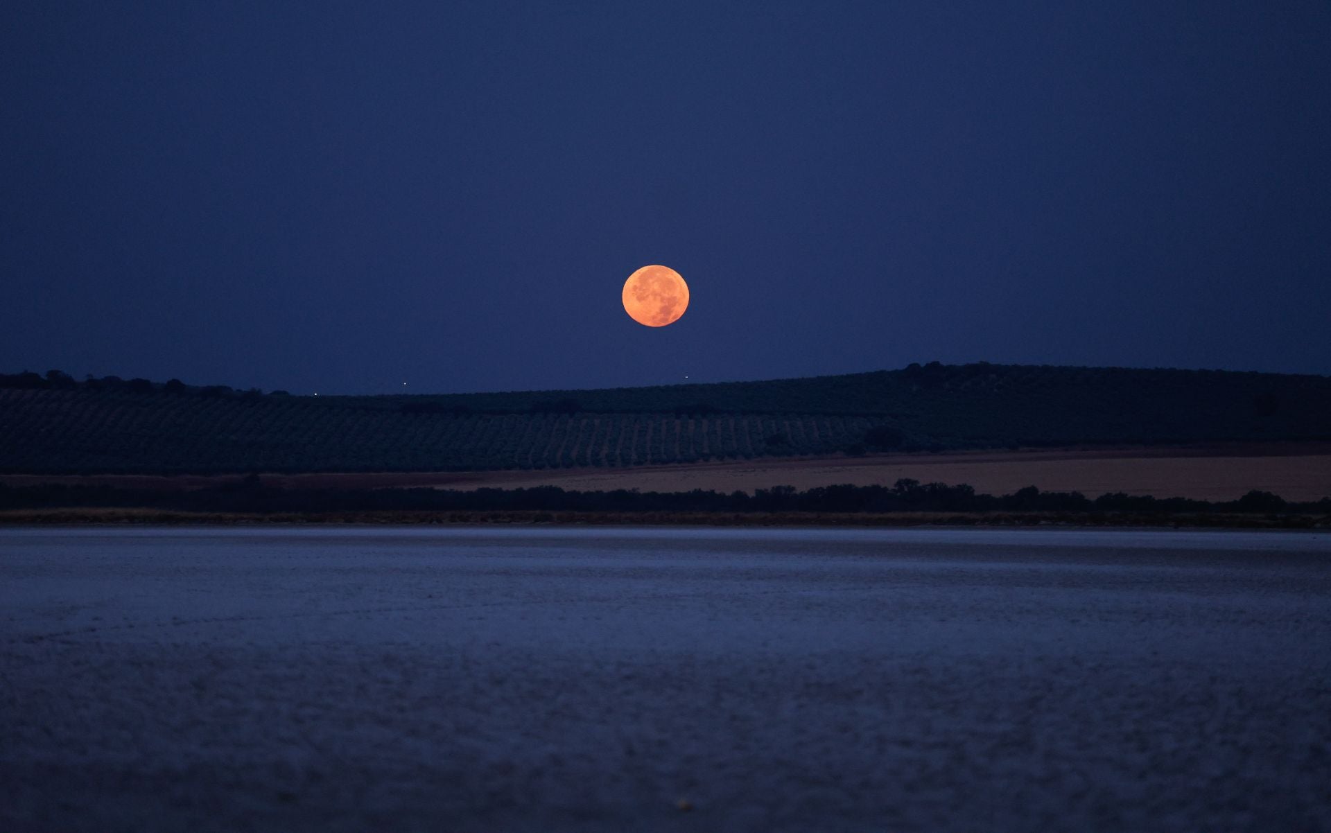 Vuelve el anillamiento de flamencos a Fuente de Piedra tras años de sequía
