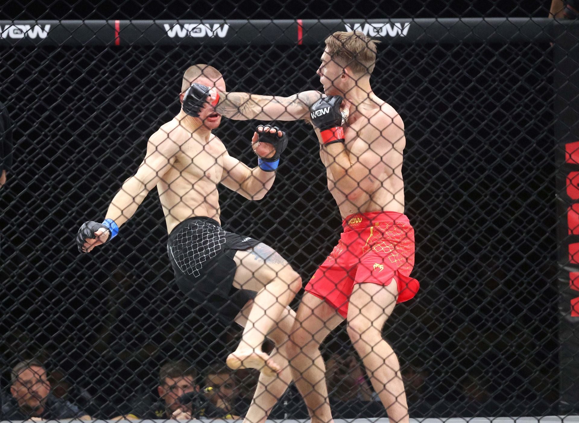 Brett Johns y Alexis Vera, los reyes del WOW 21 en Starlite