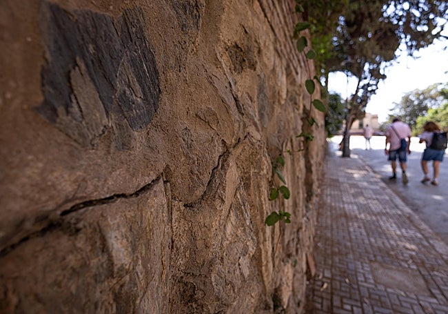 Detalle de la fractura del muro.