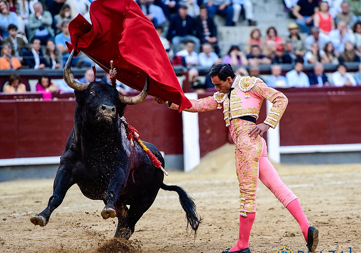 Pase de pecho de Fortes, en su actuación en Las Ventas, el pasado mayo.