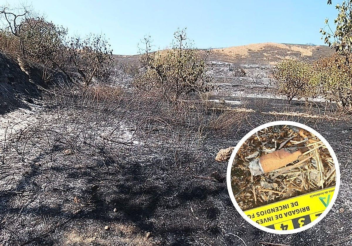 Imagen de los estragos de las llamas y de la colilla.