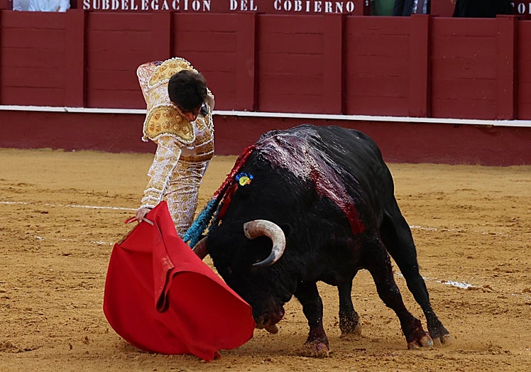 Derechazo de Páez al toro de su alternativa.