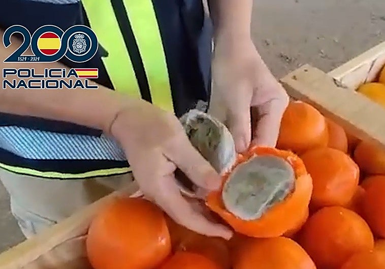 Imagen de la droga escondida en las naranjas simuladas interceptadas en Vélez-Málaga.