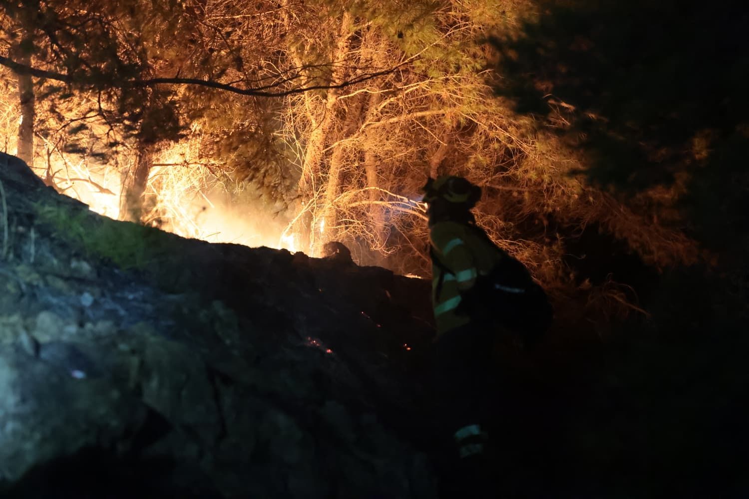 Incendio forestal en el Cerro de la Tortuga de Málaga capital