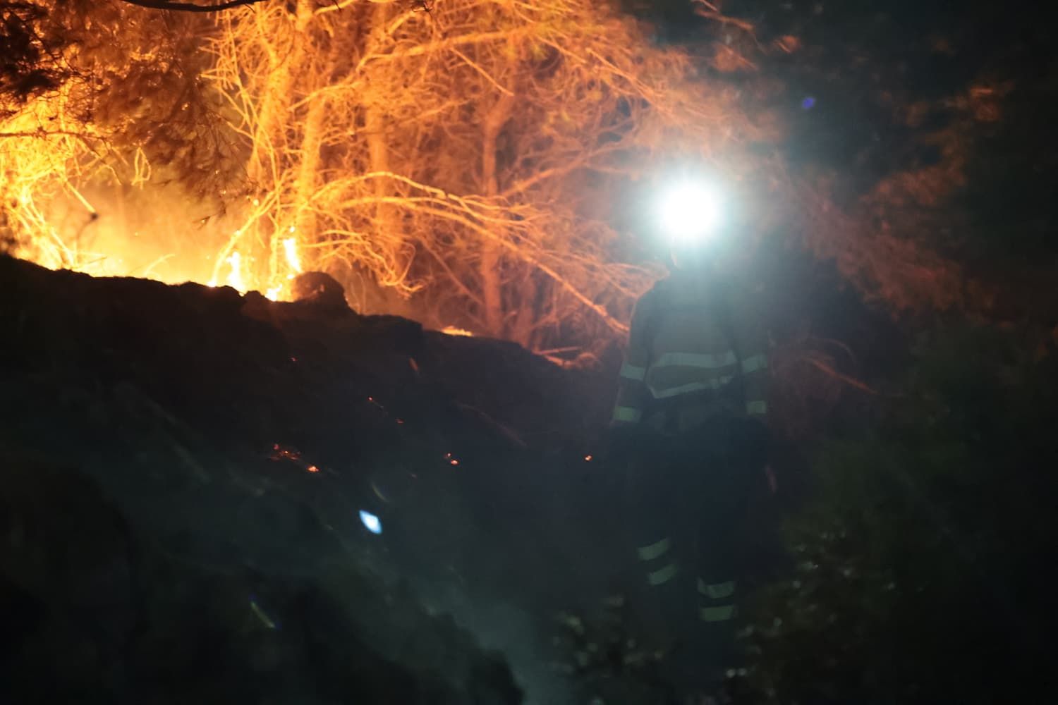 Incendio forestal en el Cerro de la Tortuga de Málaga capital
