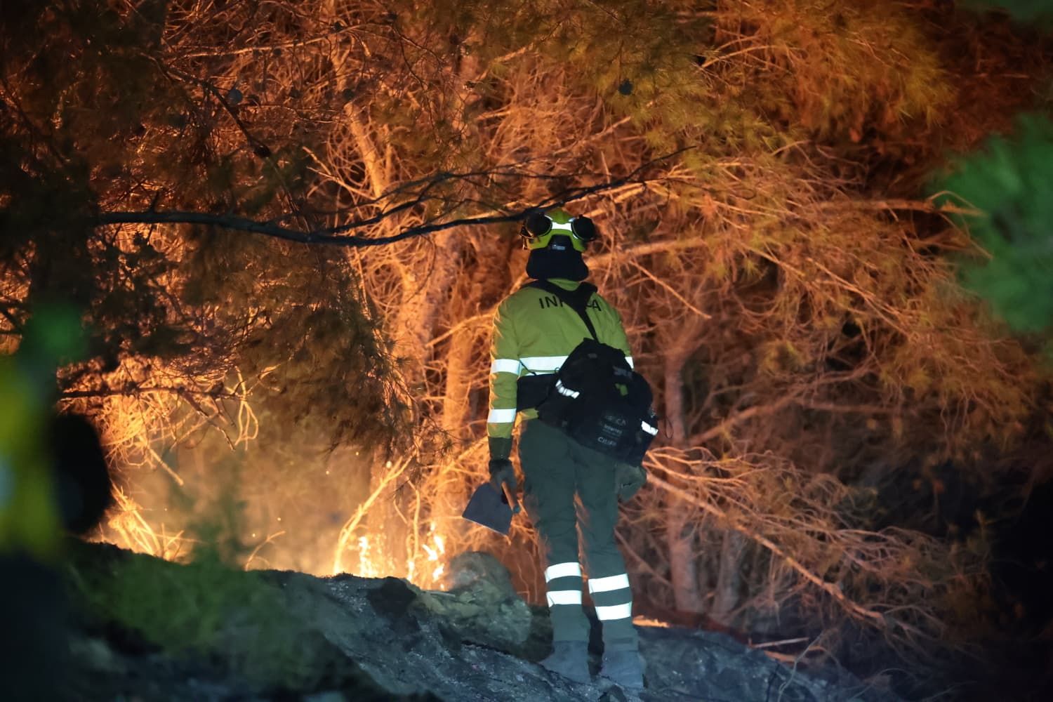 Incendio forestal en el Cerro de la Tortuga de Málaga capital
