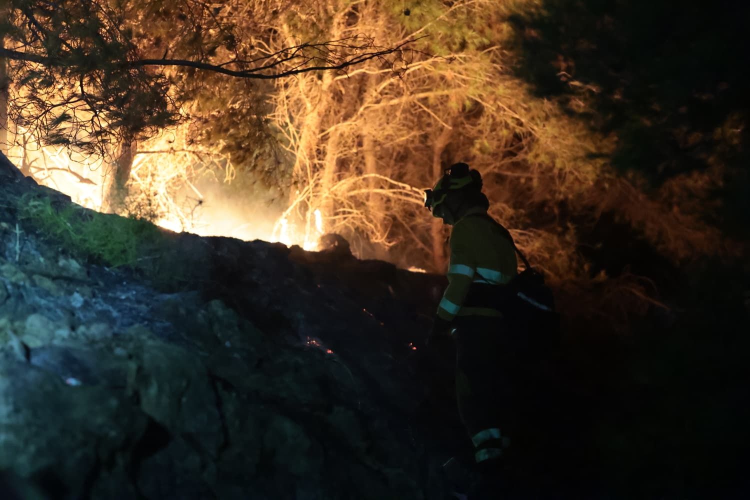 Incendio forestal en el Cerro de la Tortuga de Málaga capital