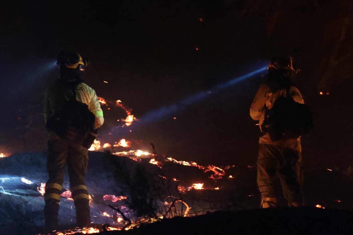 Incendio forestal en el Cerro de la Tortuga de Málaga capital