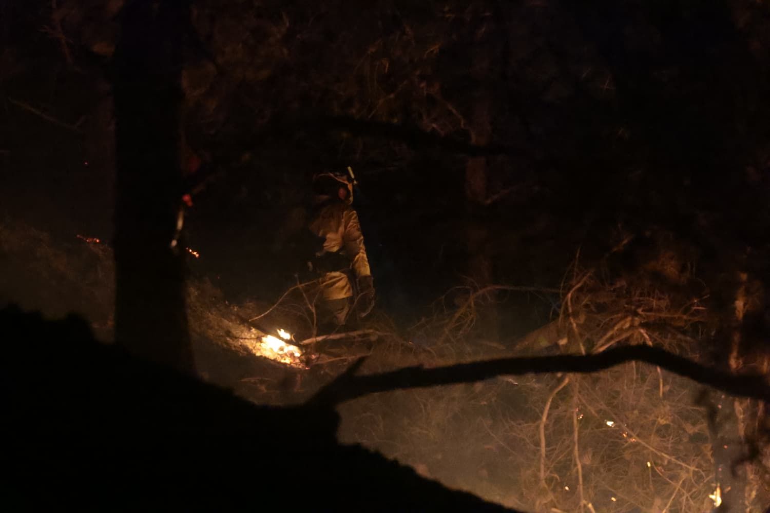 Incendio forestal en el Cerro de la Tortuga de Málaga capital