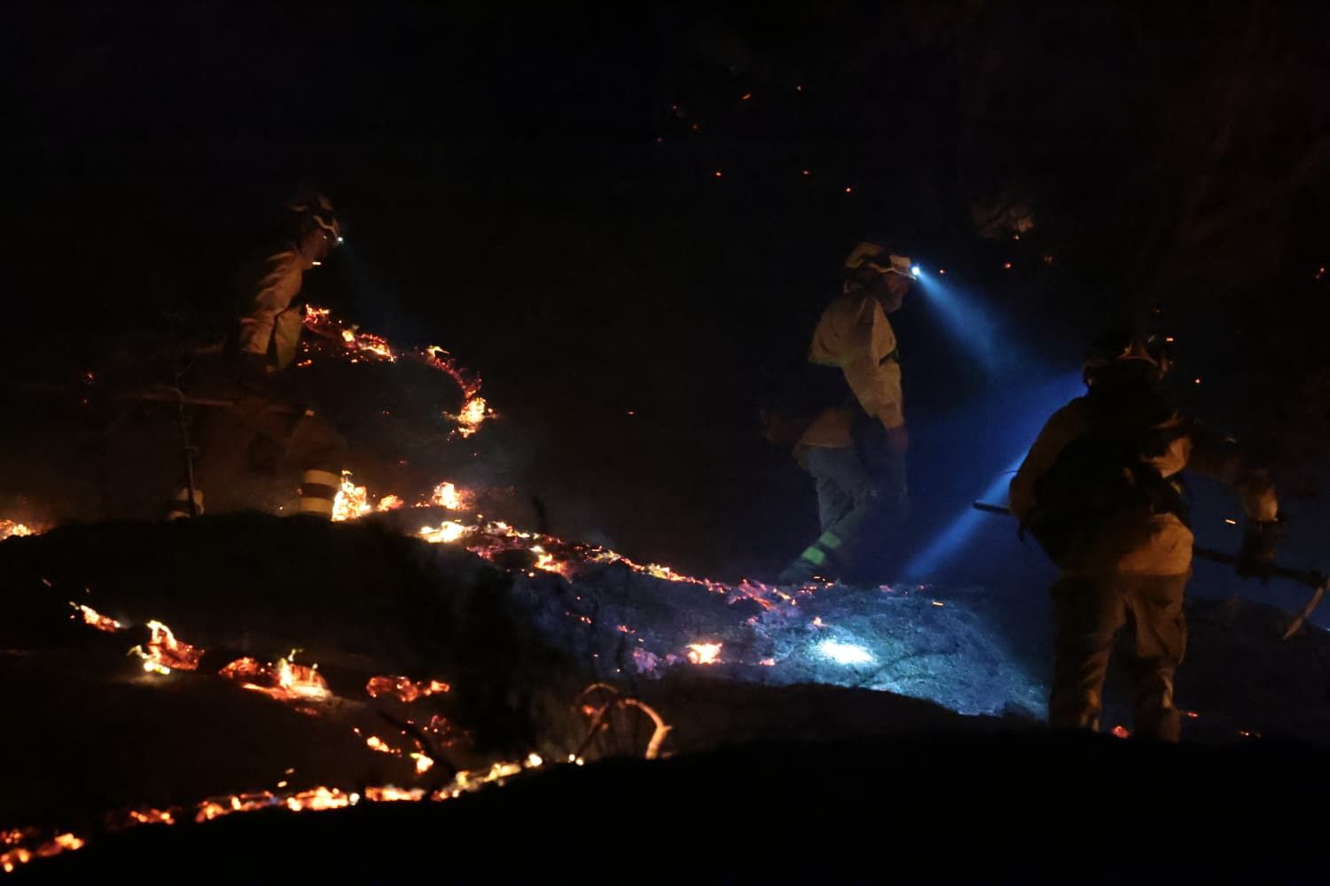 Incendio forestal en el Cerro de la Tortuga de Málaga capital