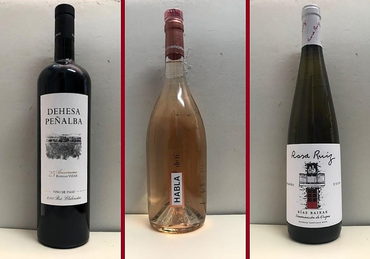 La cata | Los vinos destacados de la cuarta semana de agosto