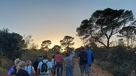 Siete cosas que no hay que perderse durante este verano en una visita al Campo de Cámara