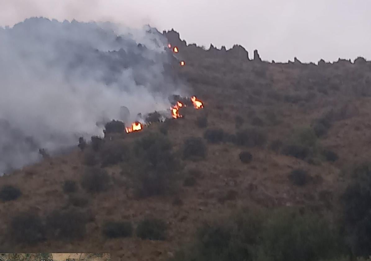 El Servicio de Extinción de Incendios Forestales de Andalucía ha movilizado un dispositivo conformado por medios aéreos y terrestres.