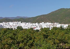 Vista del municipio de Istán, uno de los 17 pueblos que participan en el plan 'CONVIVE'.