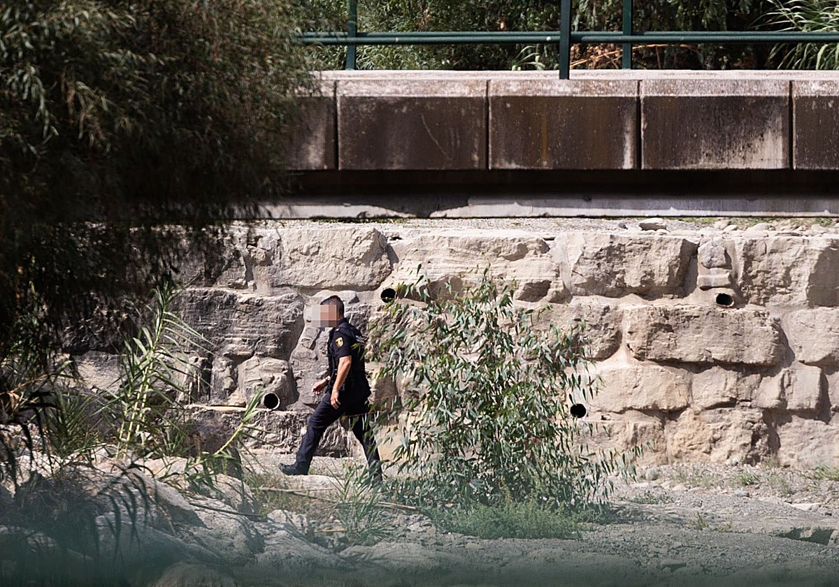 Una agente durante una de las batidas en busca del presunto agresor.