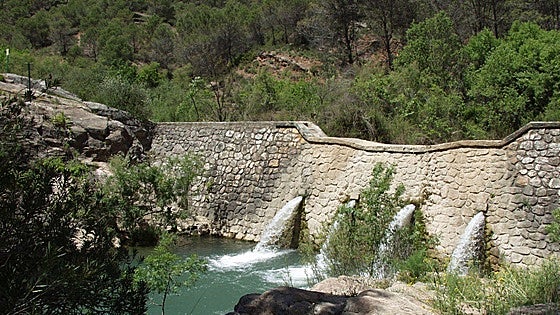 Siete cosas que no hay que perderse durante este verano en una visita a la Sierra de las Nieves