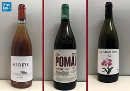 La cata: los vinos recomendados de la última semana de agosto