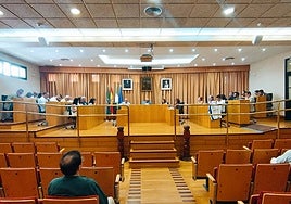 Imagen de la sesión plenaria celebrada este viernes en el Ayuntamiento de Vélez-Málaga.