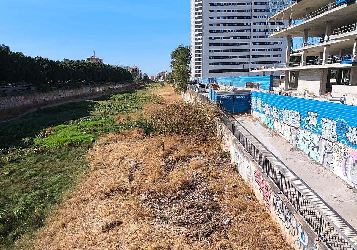 Vista de las basuras acumulada en el cauce delGuadalmedina, junto a los nuevos edificios de Martiricos.