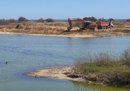 Imagen de los trabajos en el humedal de la Desembocadura del Guadalhorce.