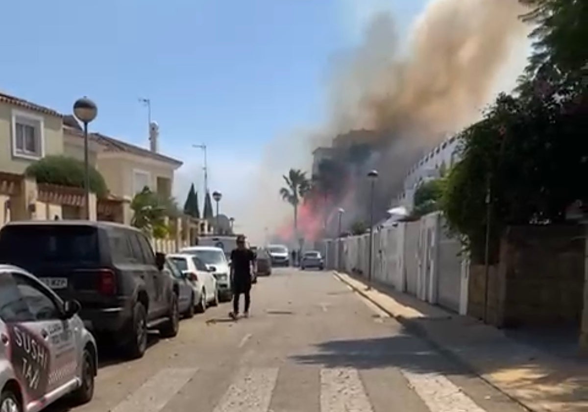 Imagen principal - Terrenos calcinados en el incendio del término municipal de Estepona, cercanos a Parque Antena.