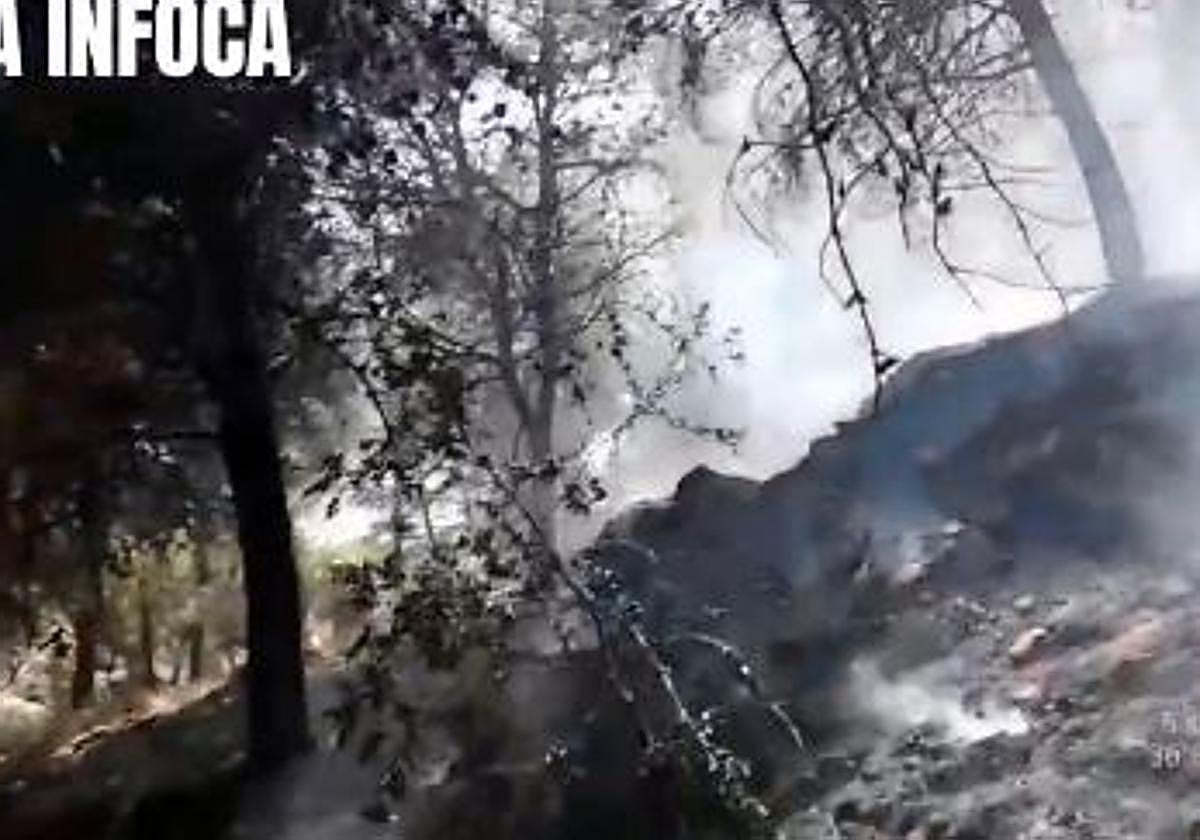 Extinguido un incendio forestal declarado en Mijas