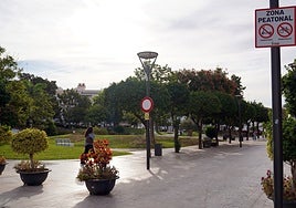 Una persona en patinete por la Avenida de España de Estepona.