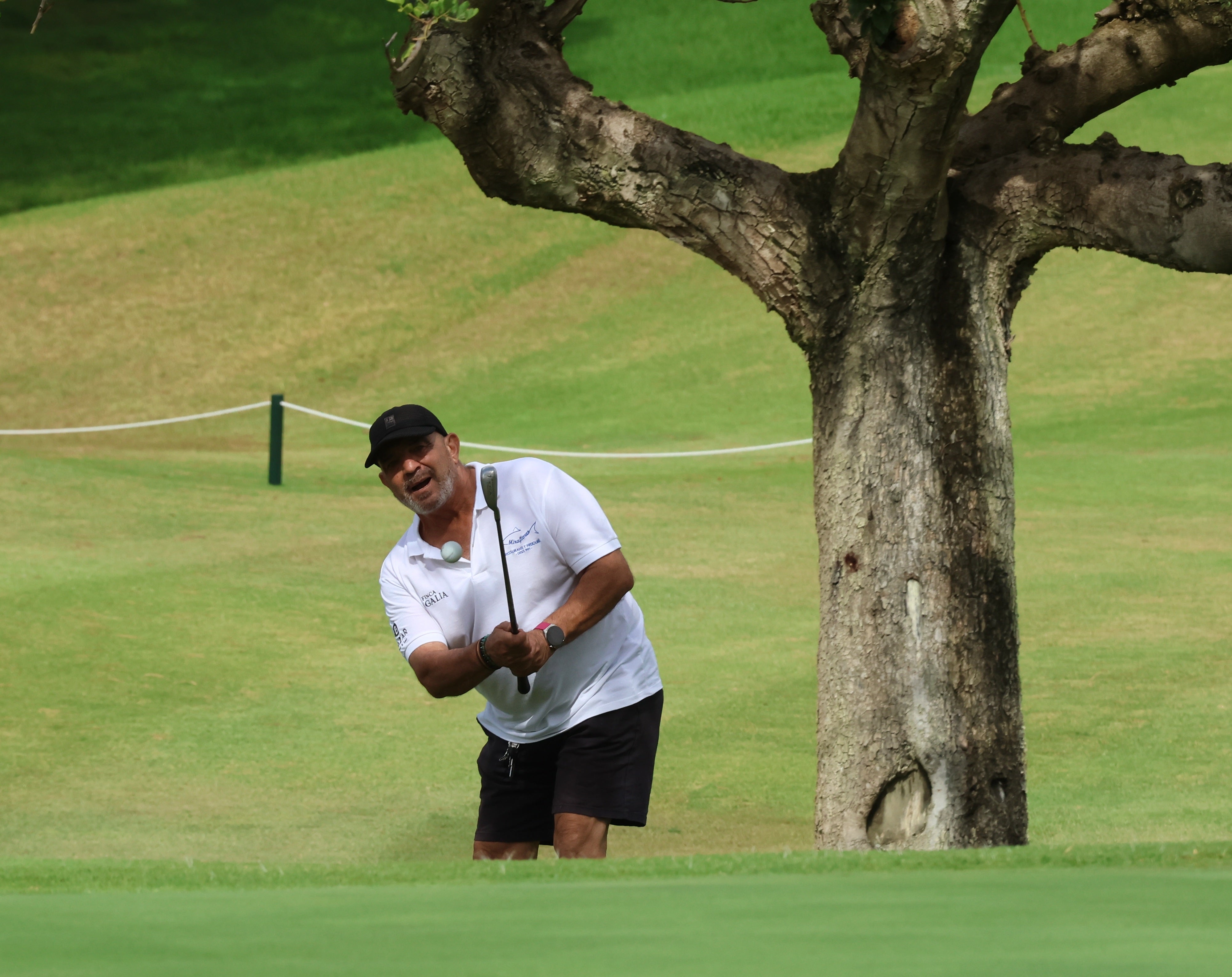 Torneo de Golf Diario SUR