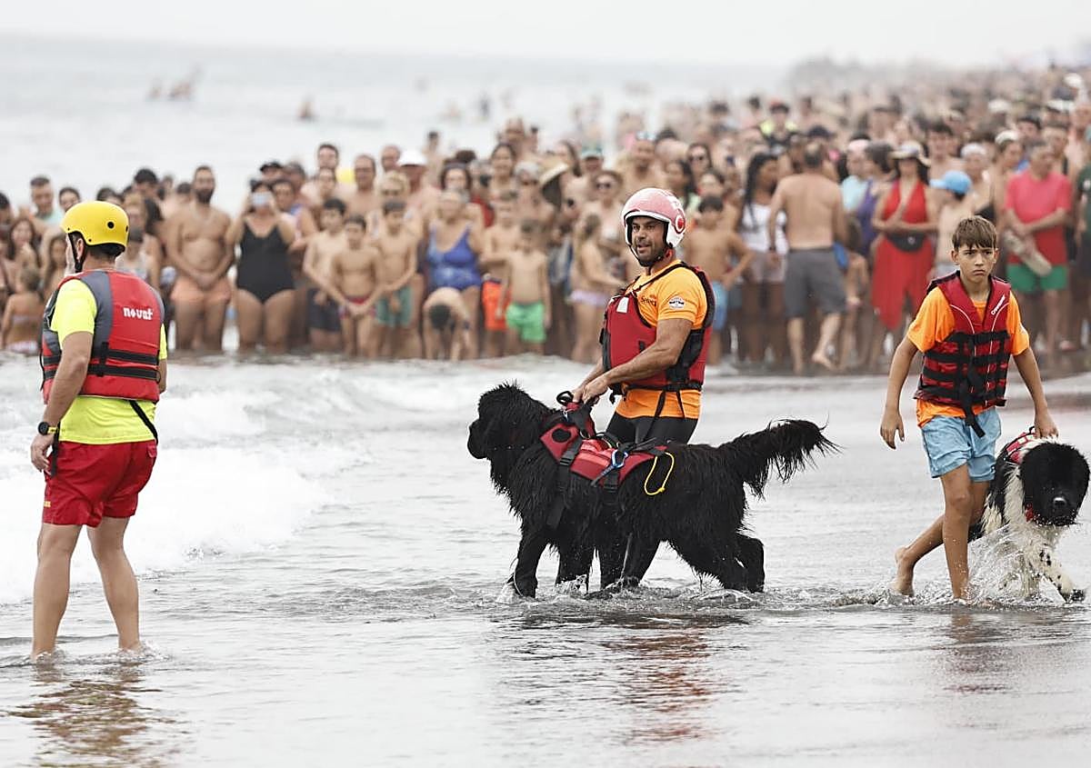 Imagen secundaria 1 - Miles de personas se citan en las playas de Torre del Mar para ver las acrobacias de los aviones