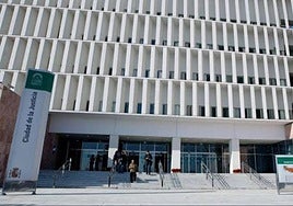 La Audiencia de Málaga ha dictado una condena de once meses de cárcel.