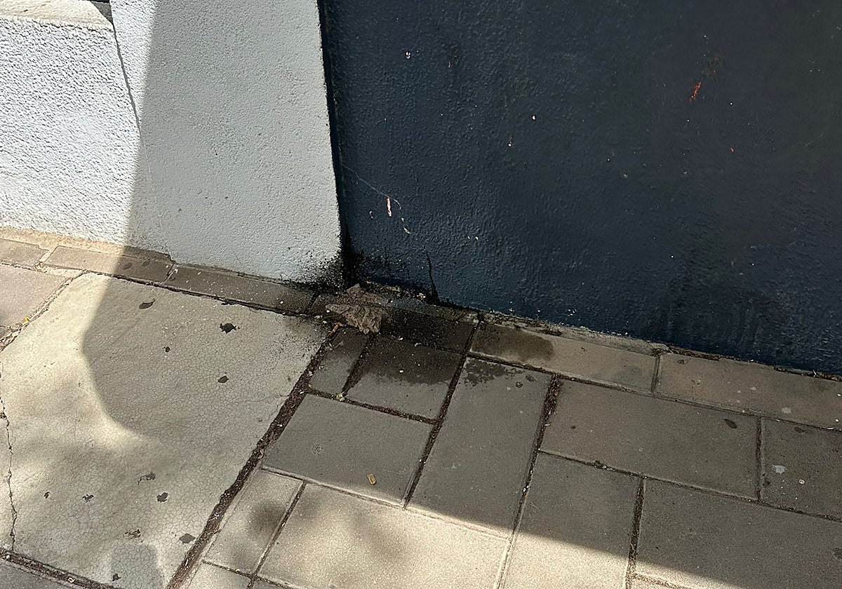 Vista de manchas de orina de perro en la calle Teseo, en Teatinos.