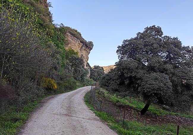 Camino hacia el Tajo del Abanico, en Ronda.